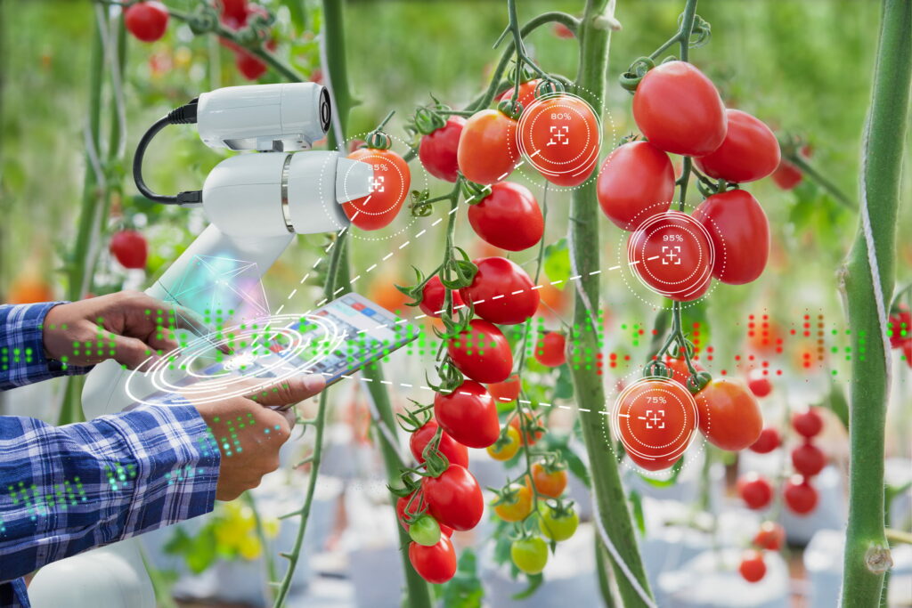 Attività Agricole Connesse: Regime Iva Ordinario O Speciale?