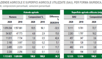 Flat Tax, Irpef Agricoli E Concordato Preventivo Disincentivano La Crescita