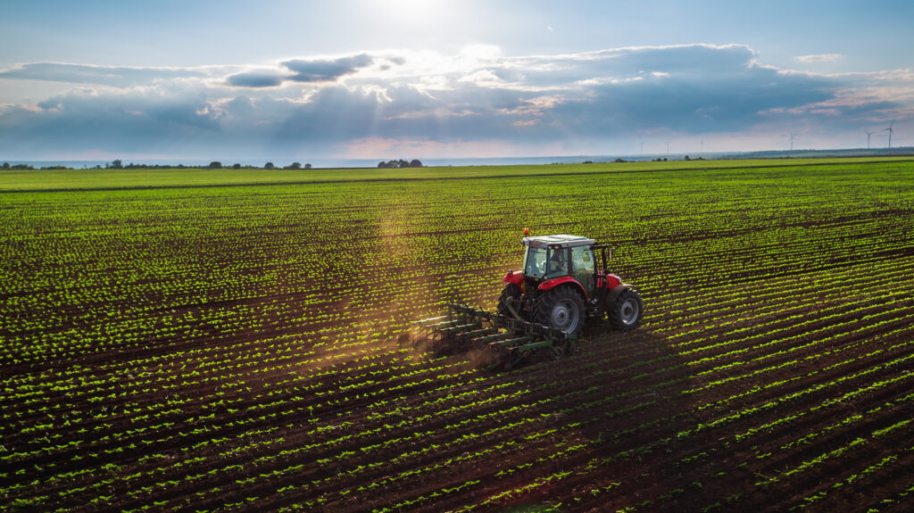 Zes Unica Agricola: Approvato Il Modello Per La Comunicazione