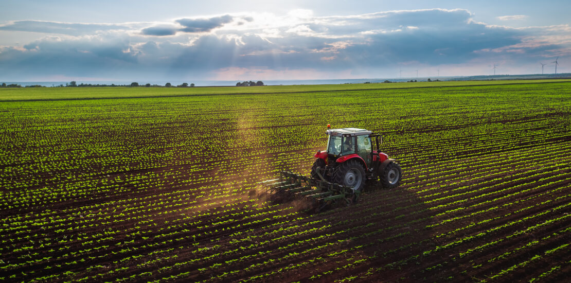 Zes Unica Agricola: Approvato Il Modello Per La Comunicazione