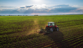 Zes Unica Agricola: Approvato Il Modello Per La Comunicazione